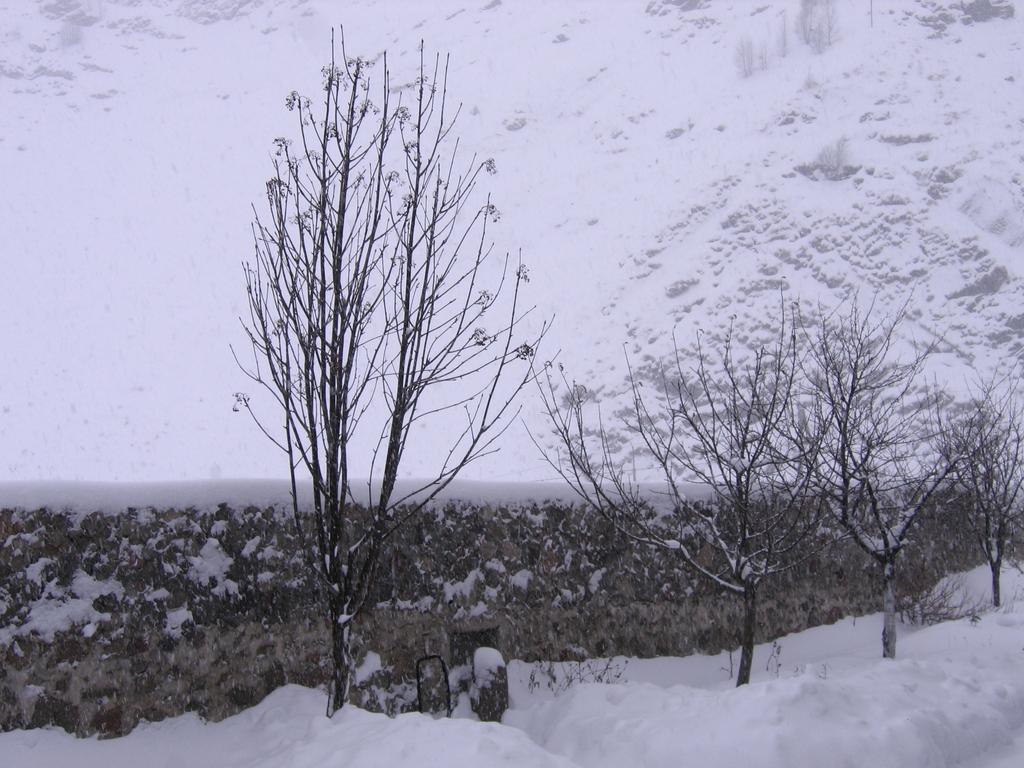 Red Stone Guest House Kazbegi Dış mekan fotoğraf