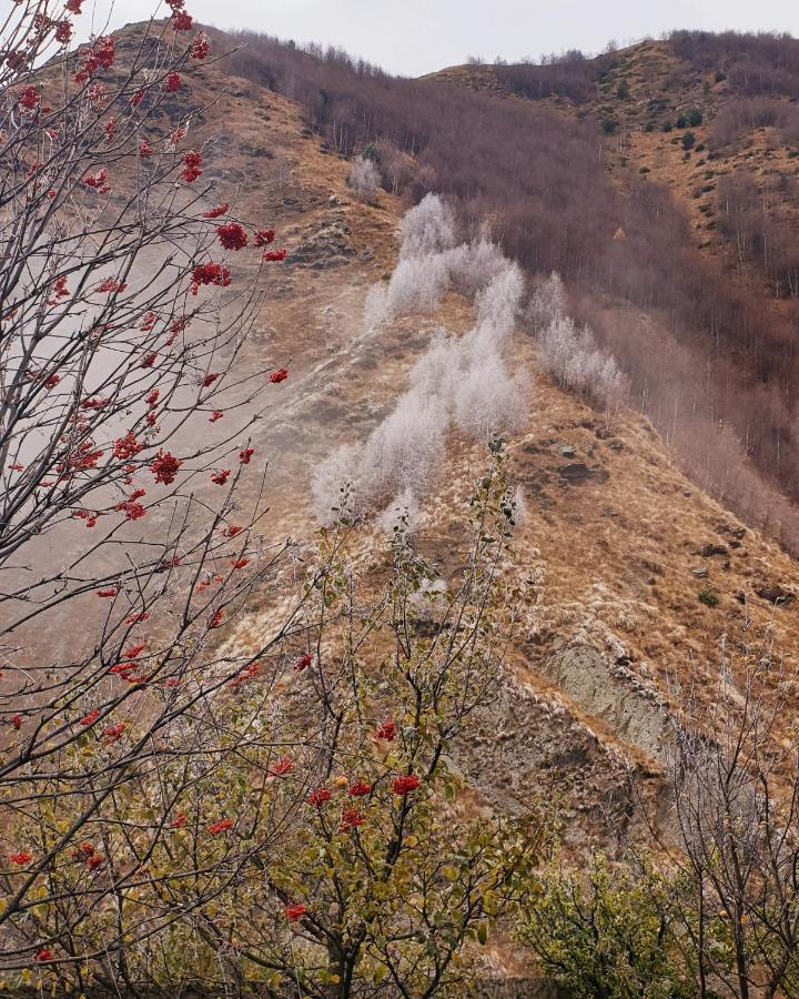 Red Stone Guest House Kazbegi Dış mekan fotoğraf